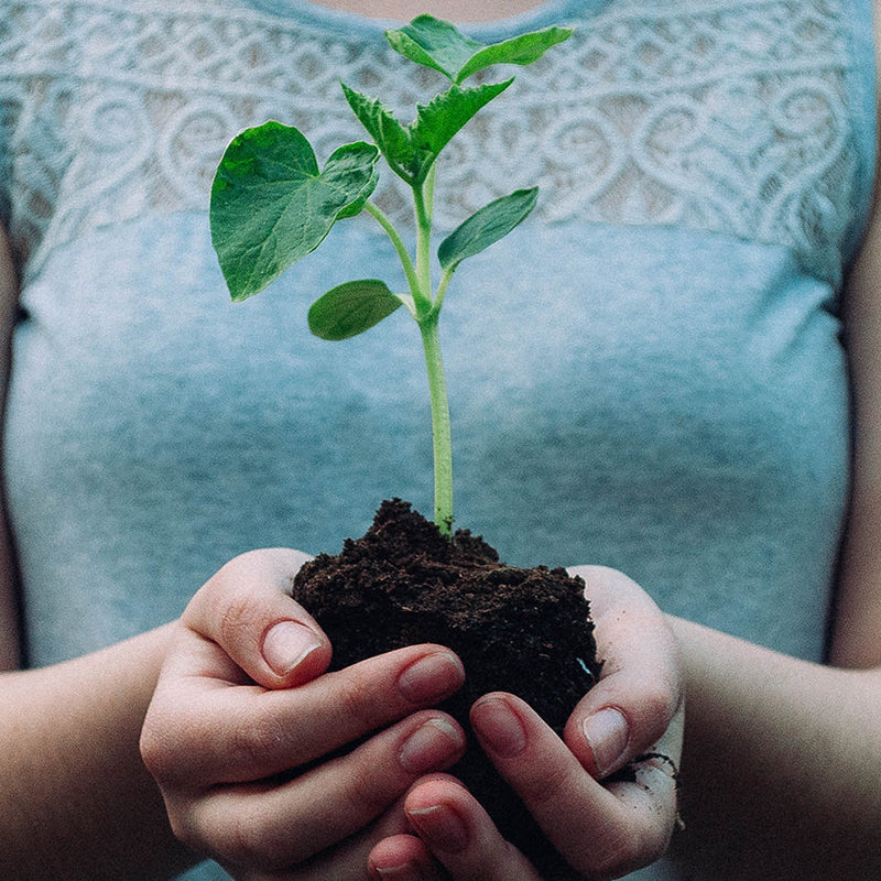 Sustainable Shopping Tips